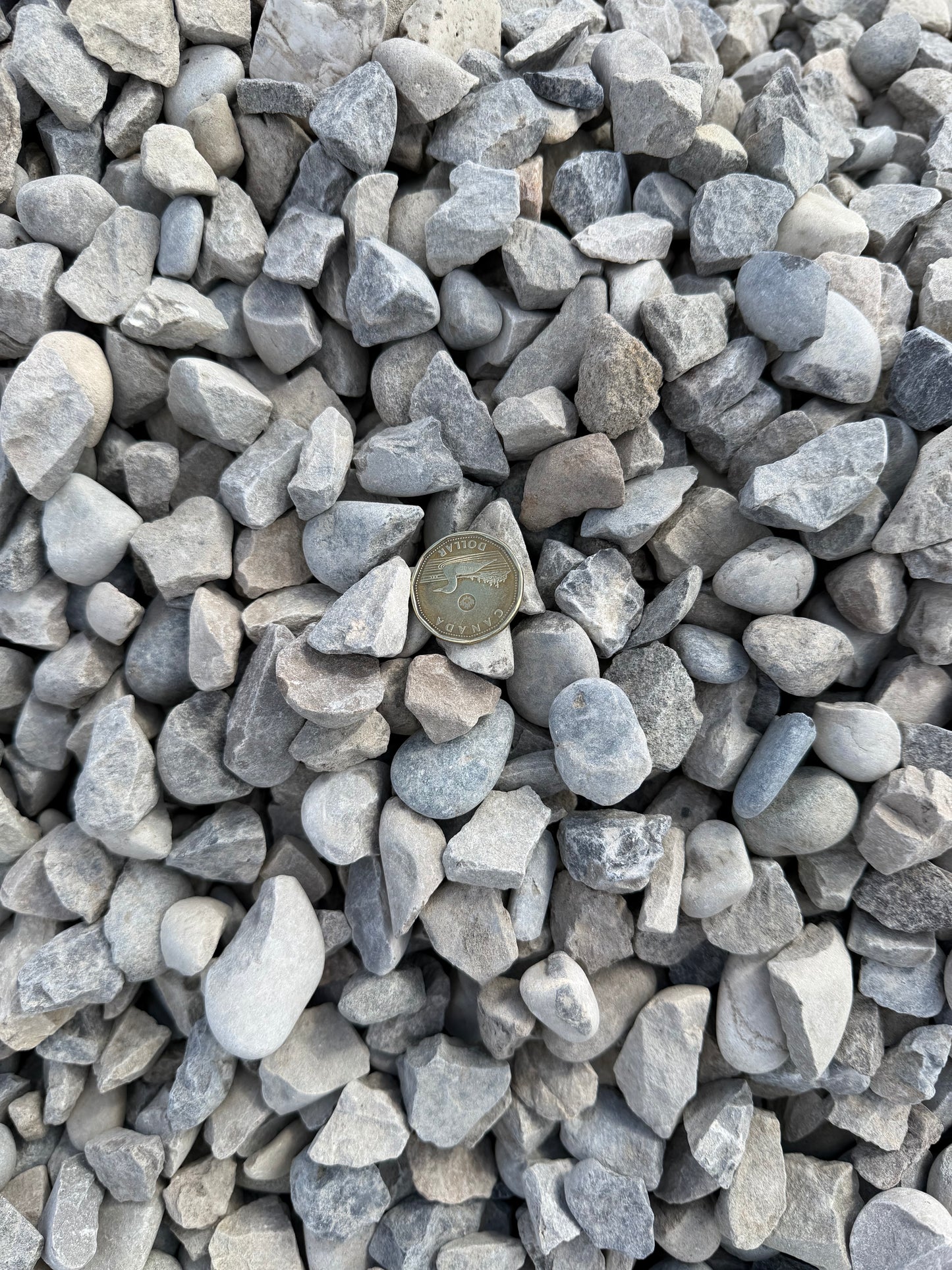 20mm washed rock driveway Calgary — ¾ inch clean gravel bulk delivery New Standard