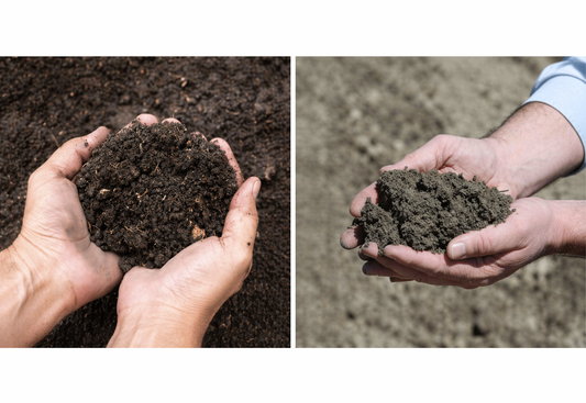 Topsoil vs. Garden Mix: What’s the Difference and Which One Do You Actually Need?