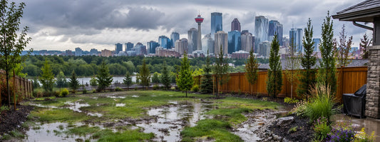 What to Do With Your Yard After Calgary’s Heavy Rain (And What Not to Do)