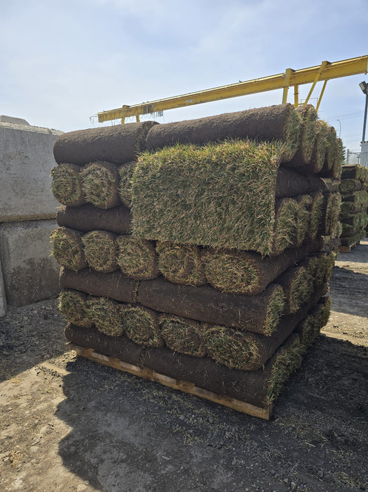 fresh Kentucky bluegrass sod rolls Calgary delivery