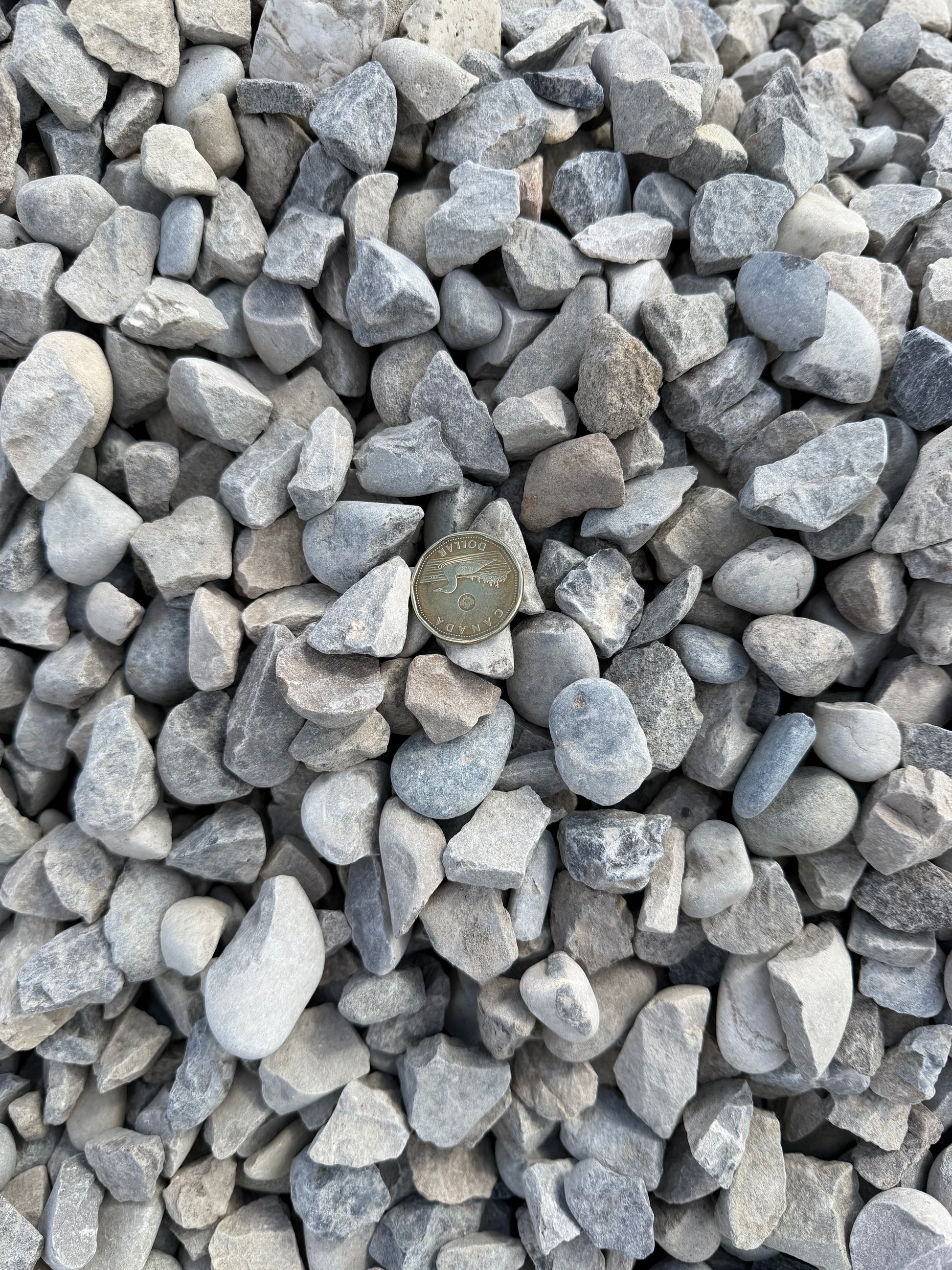 20mm washed rock driveway Calgary — ¾ inch clean gravel bulk delivery New Standard
