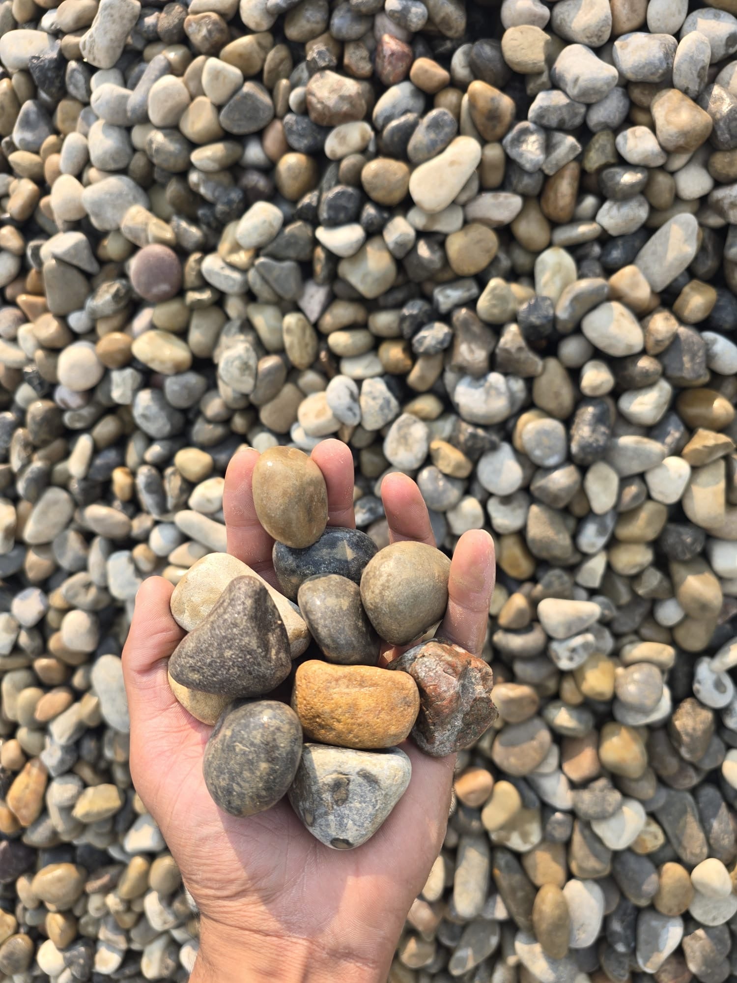 40mm-round-rock-calgary