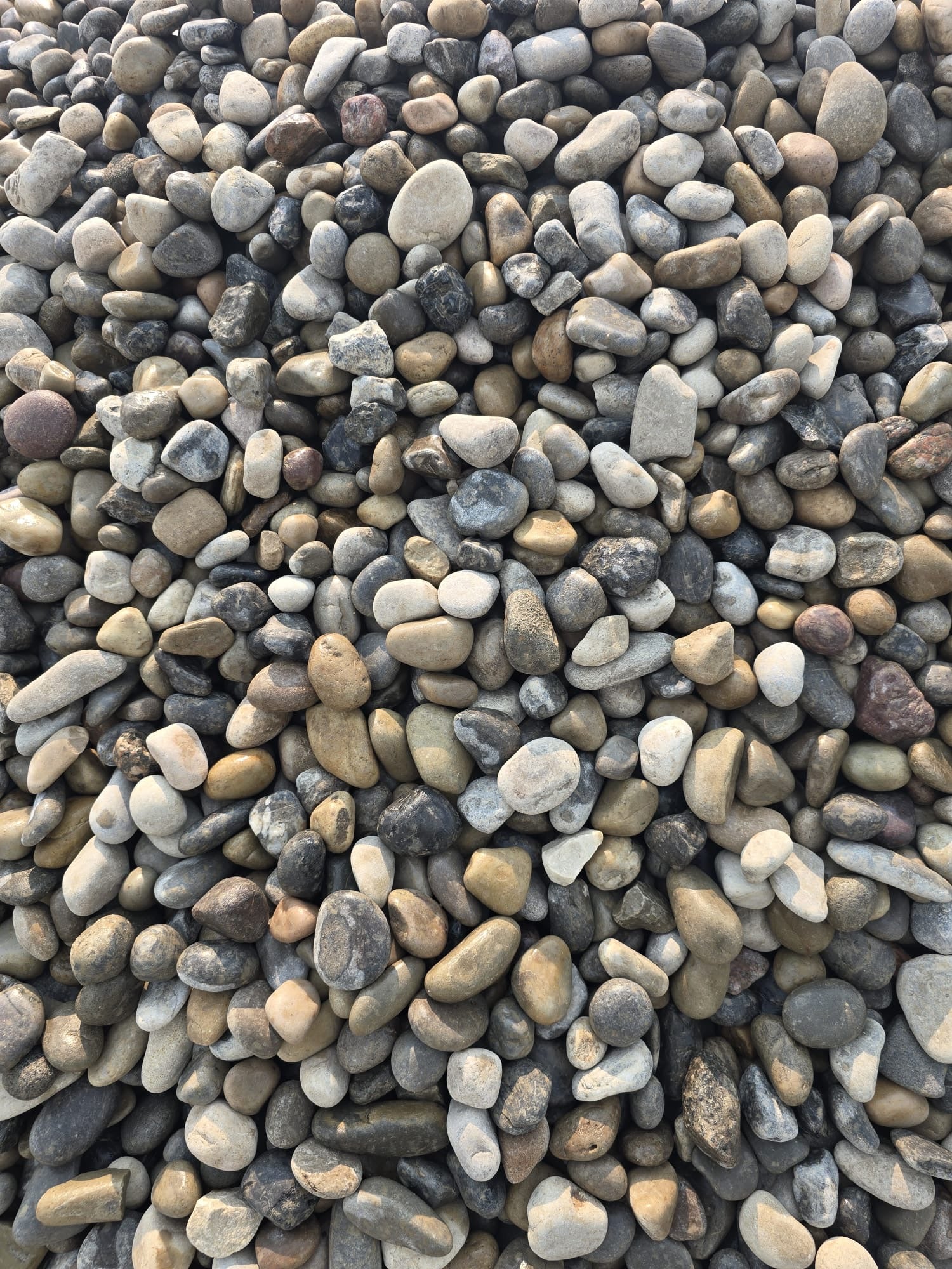 40mm-round-rock-calgary