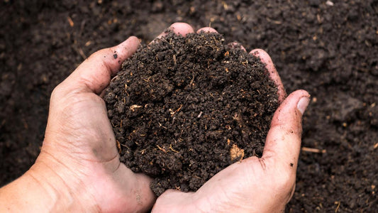 Bulk garden mix Calgary — 70% topsoil 30% compost blend for raised beds and planting